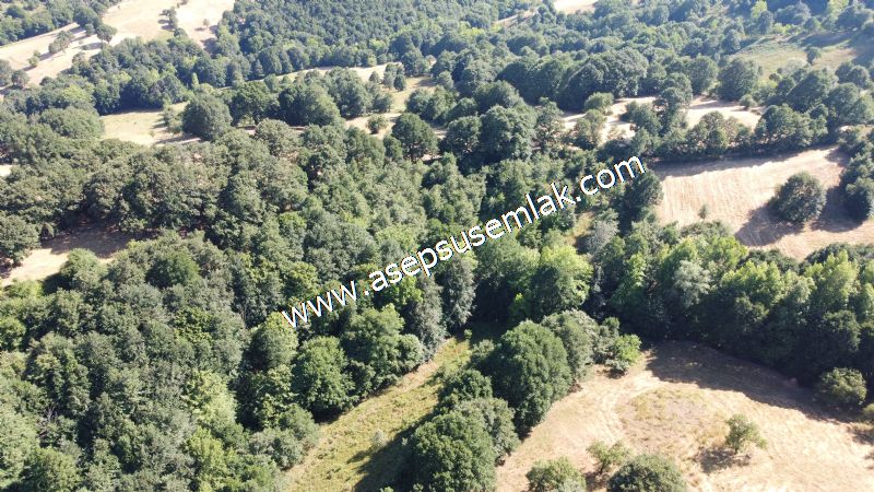 5.000 m2 Resmi Kadastro Yola & Orman Cepheli Hobi Bağ-Bahçesi