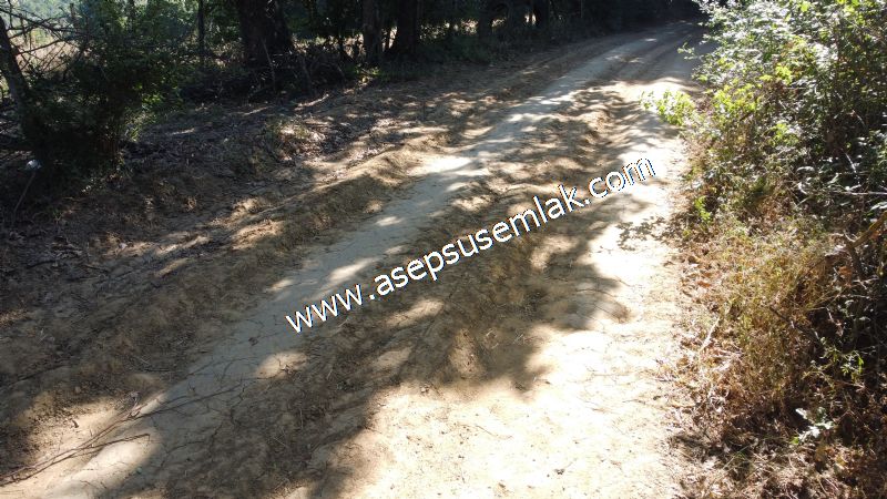 5.000 m2 Resmi Kadastro Yola & Orman Cepheli Hobi Bağ-Bahçesi