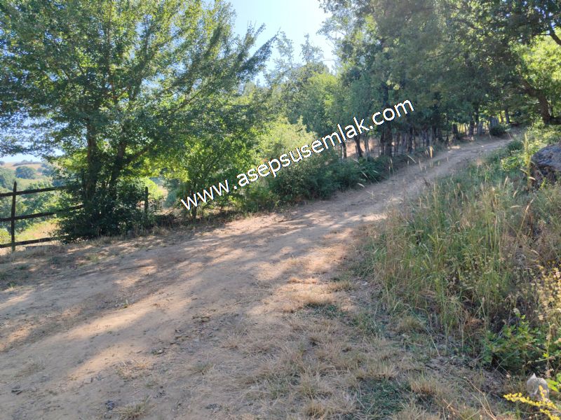 5.000 m2 Resmi Kadastro Yola & Orman Cepheli Hobi Bağ-Bahçesi
