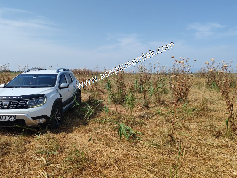 301 m2 Yatırımlık Müstakil Villa İmarlı Arsa Çifteleşmelerde