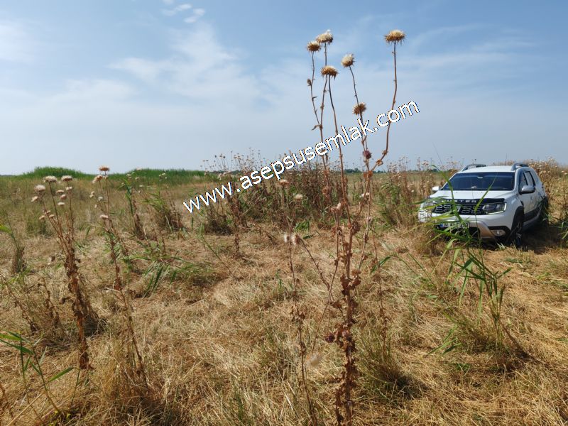 301 m2 Yatırımlık Müstakil Villa İmarlı Arsa Çifteleşmelerde