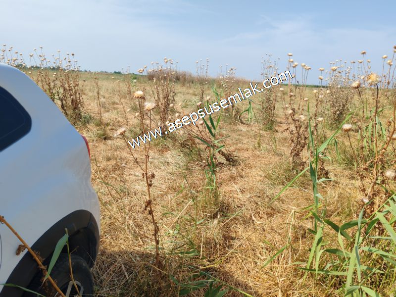 301 m2 Yatırımlık Müstakil Villa İmarlı Arsa Çifteleşmelerde
