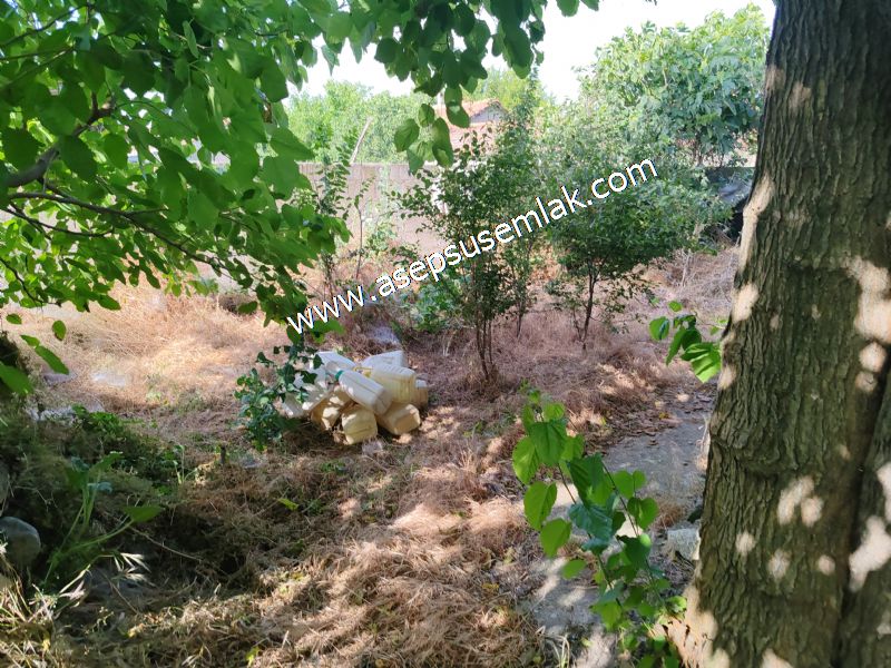 640 m2 Müstakil Köy Evi Arsa Meyve Bahçeli Bağ-Bahçe Körpeağaçta