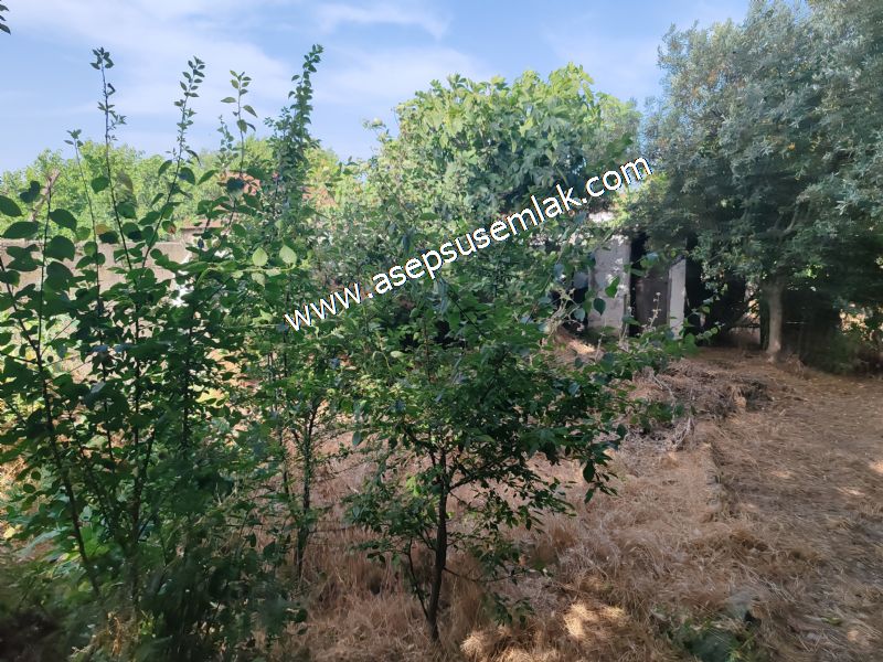 640 m2 Müstakil Köy Evi Arsa Meyve Bahçeli Bağ-Bahçe Körpeağaçta