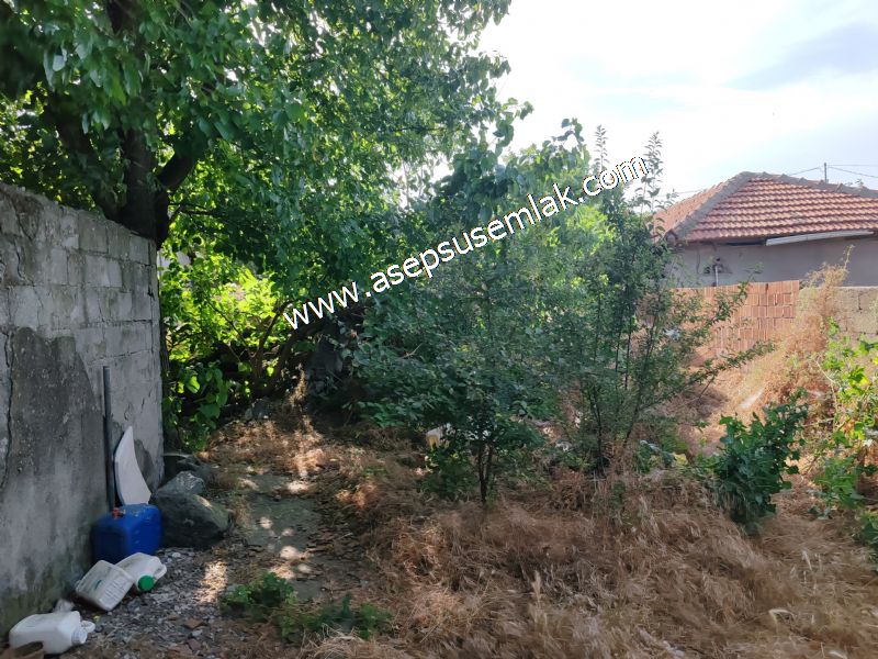 640 m2 Müstakil Köy Evi Arsa Meyve Bahçeli Bağ-Bahçe Körpeağaçta