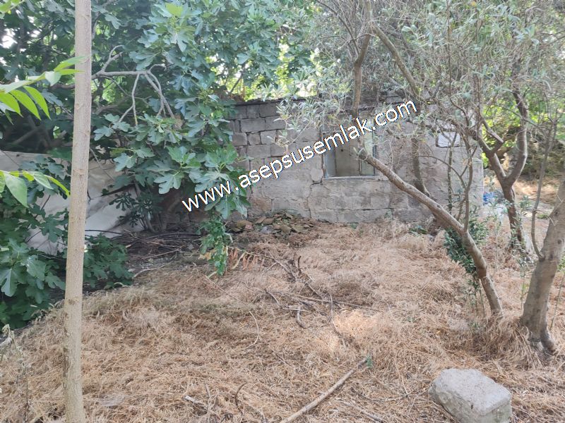 640 m2 Müstakil Köy Evi Arsa Meyve Bahçeli Bağ-Bahçe Körpeağaçta