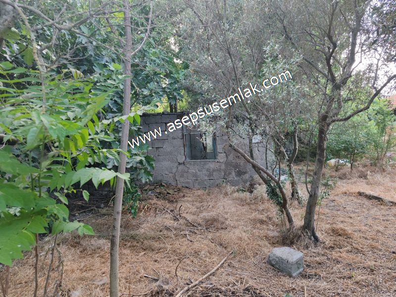 640 m2 Müstakil Köy Evi Arsa Meyve Bahçeli Bağ-Bahçe Körpeağaçta
