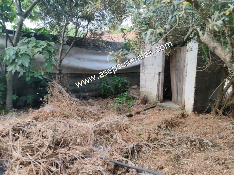 640 m2 Müstakil Köy Evi Arsa Meyve Bahçeli Bağ-Bahçe Körpeağaçta