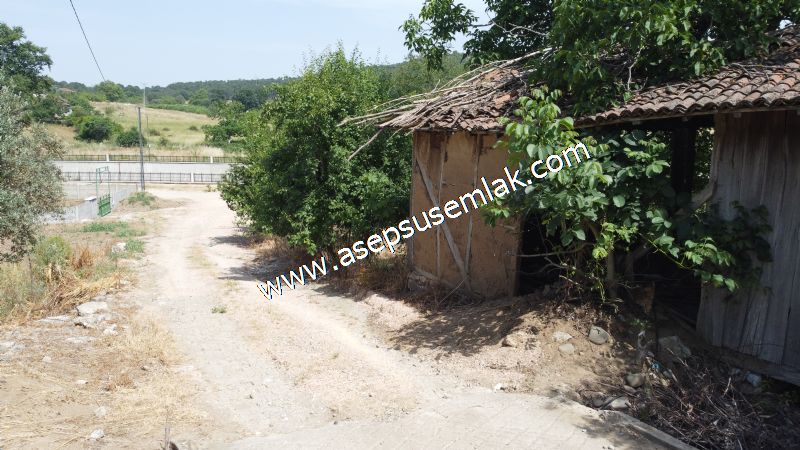 1.700 m2 Müstakil Köy Evi Arsa Meyve Bahçeli Bağ-Bahçe Dereköyde