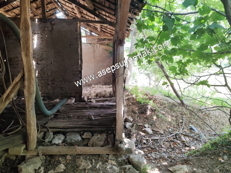 1.700 m2 Müstakil Köy Evi Arsa Meyve Bahçeli Bağ-Bahçe Dereköyde