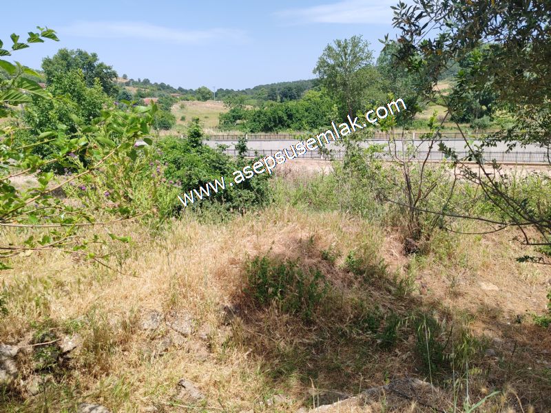 1.700 m2 Müstakil Köy Evi Arsa Meyve Bahçeli Bağ-Bahçe Dereköyde