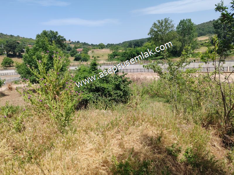 1.700 m2 Müstakil Köy Evi Arsa Meyve Bahçeli Bağ-Bahçe Dereköyde