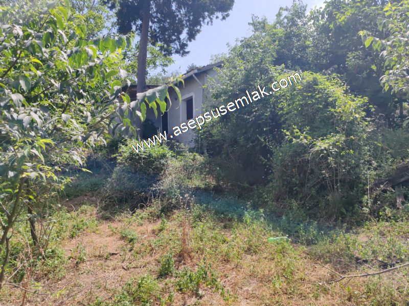 1.700 m2 Müstakil Köy Evi Arsa Meyve Bahçeli Bağ-Bahçe Dereköyde