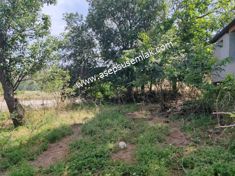 1.700 m2 Müstakil Köy Evi Arsa Meyve Bahçeli Bağ-Bahçe Dereköyde