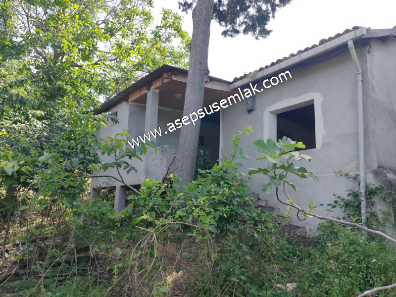 1.700 m2 Müstakil Köy Evi Arsa Meyve Bahçeli Bağ-Bahçe Dereköyde