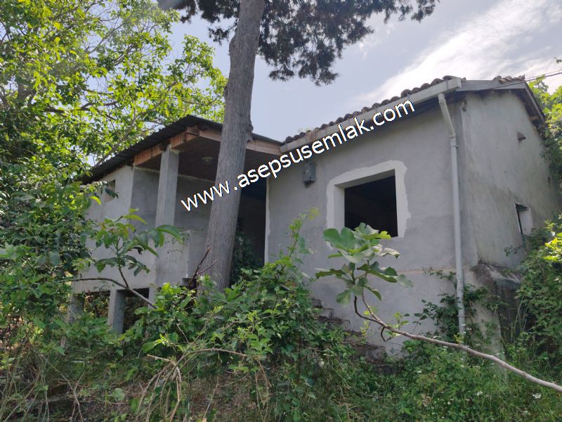 1.700 m2 Müstakil Köy Evi Arsa Meyve Bahçeli Bağ-Bahçe Dereköyde