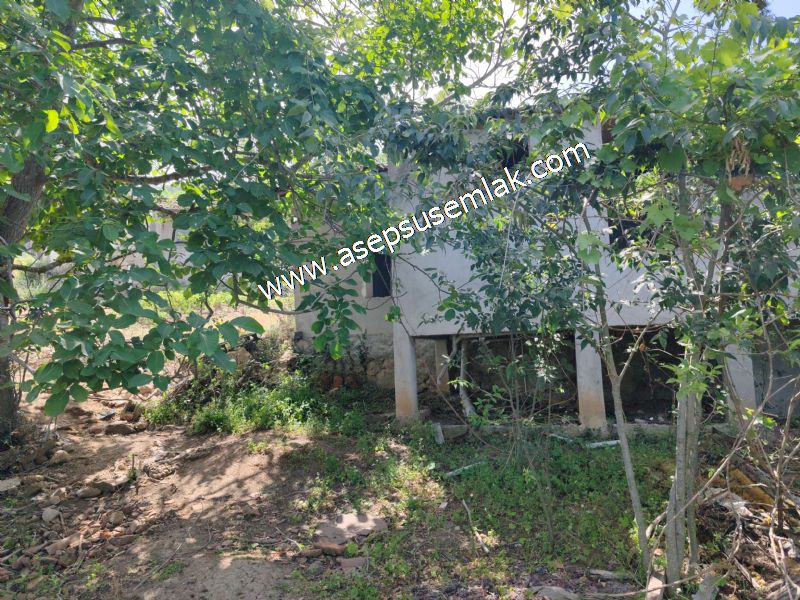 1.700 m2 Müstakil Köy Evi Arsa Meyve Bahçeli Bağ-Bahçe Dereköyde