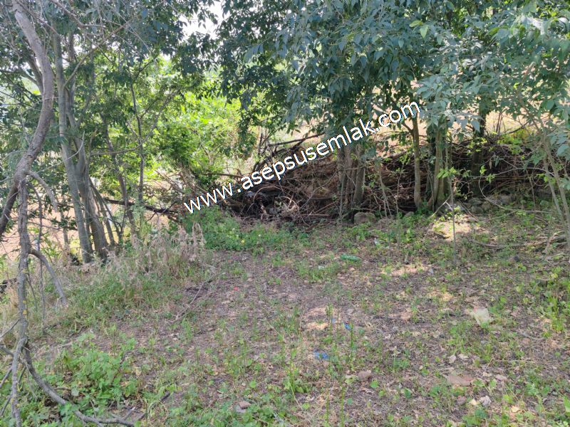 1.700 m2 Müstakil Köy Evi Arsa Meyve Bahçeli Bağ-Bahçe Dereköyde
