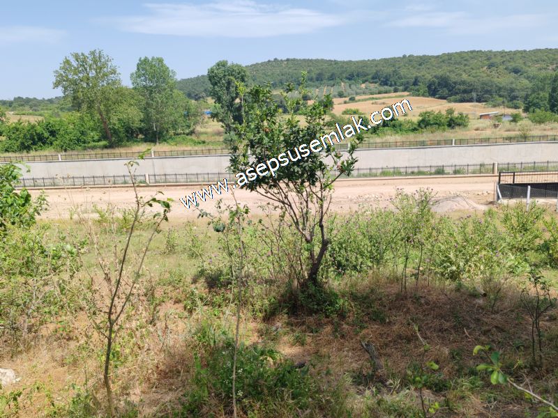 1.700 m2 Müstakil Köy Evi Arsa Meyve Bahçeli Bağ-Bahçe Dereköyde