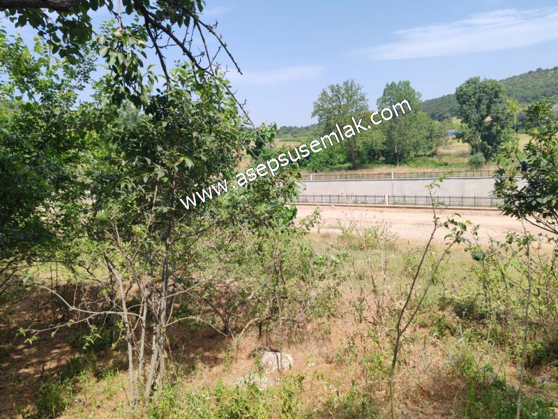 1.700 m2 Müstakil Köy Evi Arsa Meyve Bahçeli Bağ-Bahçe Dereköyde