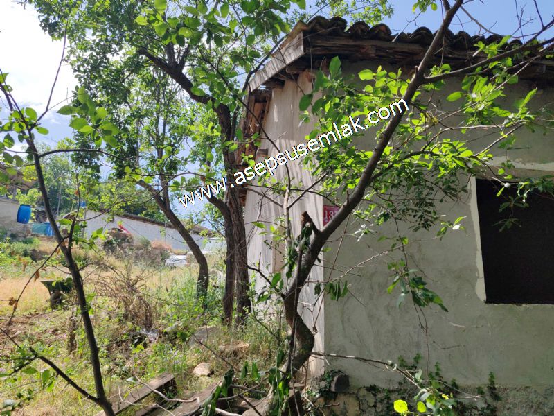 1.700 m2 Müstakil Köy Evi Arsa Meyve Bahçeli Bağ-Bahçe Dereköyde