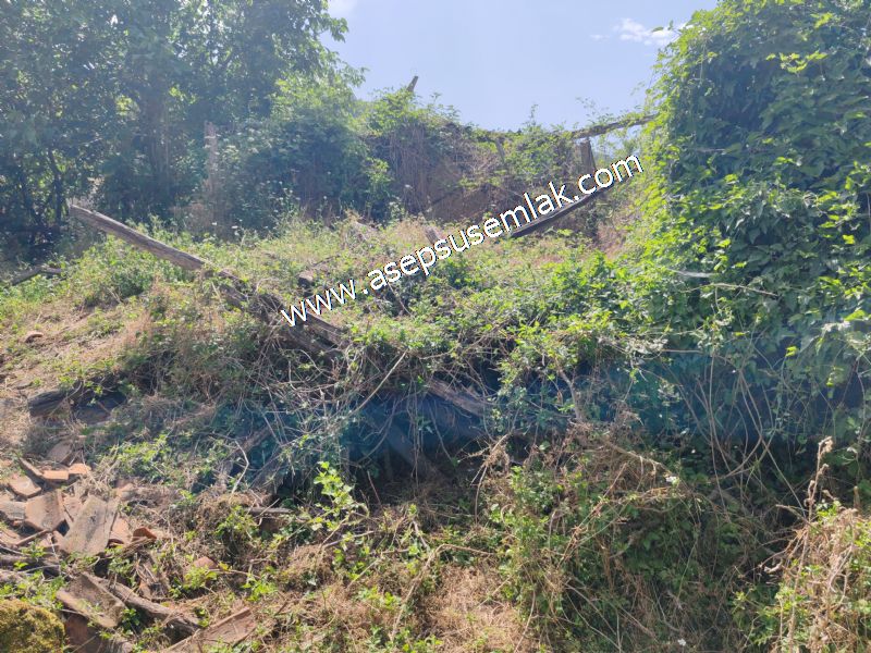 1.700 m2 Müstakil Köy Evi Arsa Meyve Bahçeli Bağ-Bahçe Dereköyde