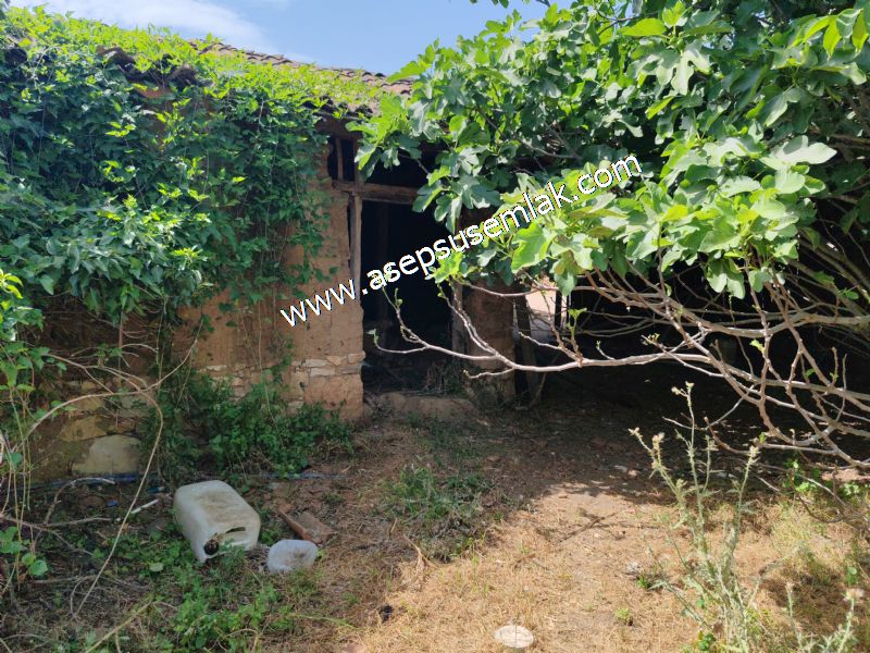 1.700 m2 Müstakil Köy Evi Arsa Meyve Bahçeli Bağ-Bahçe Dereköyde