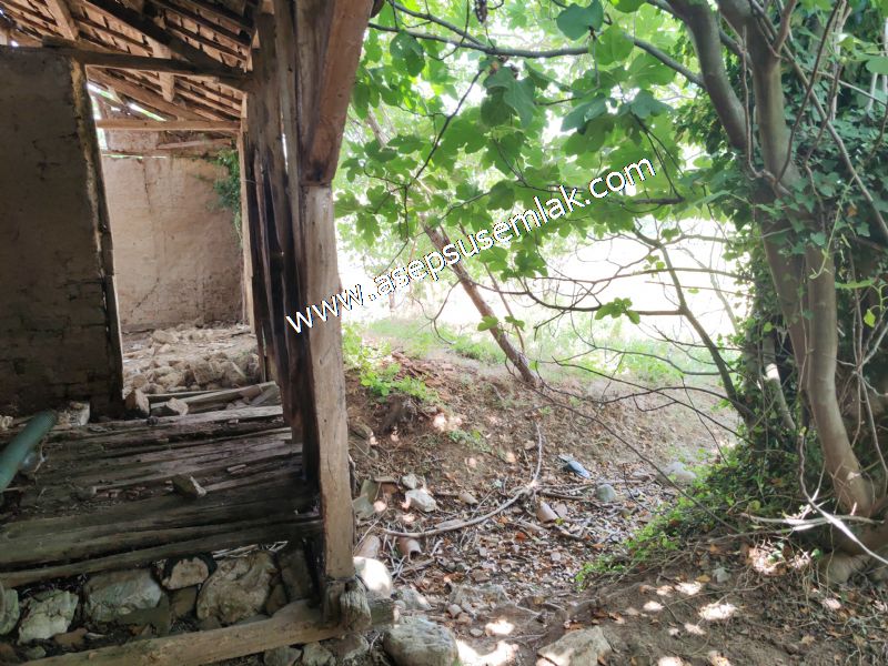 1.700 m2 Müstakil Köy Evi Arsa Meyve Bahçeli Bağ-Bahçe Dereköyde