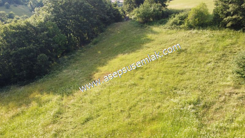 9.640 m2 Çiftlik, Bağ-Bahçe Su Çeşme Var Kadastro Yola Cepheli