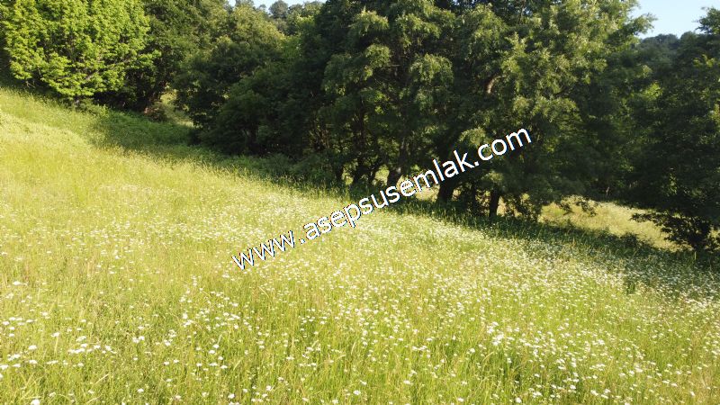 9.640 m2 Çiftlik, Bağ-Bahçe Su Çeşme Var Kadastro Yola Cepheli