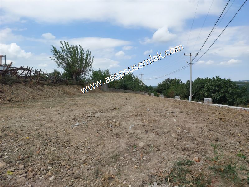 556 m2 İmarlı 2 kat %40 Arsa Köy Evi Ortasında