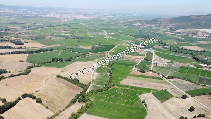 8.480 m2 Çiftlik Bağ-Bahçe K.Pompaj Su Var Kadastro Yola Cepheli