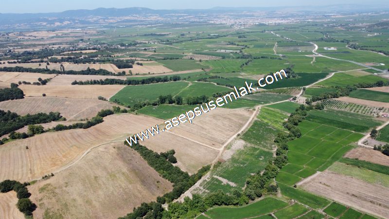 8.480 m2 Çiftlik Bağ-Bahçe K.Pompaj Su Var Kadastro Yola Cepheli