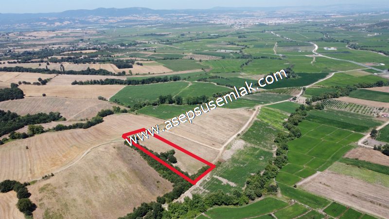 8.480 m2 Çiftlik Bağ-Bahçe K.Pompaj Su Var Kadastro Yola Cepheli