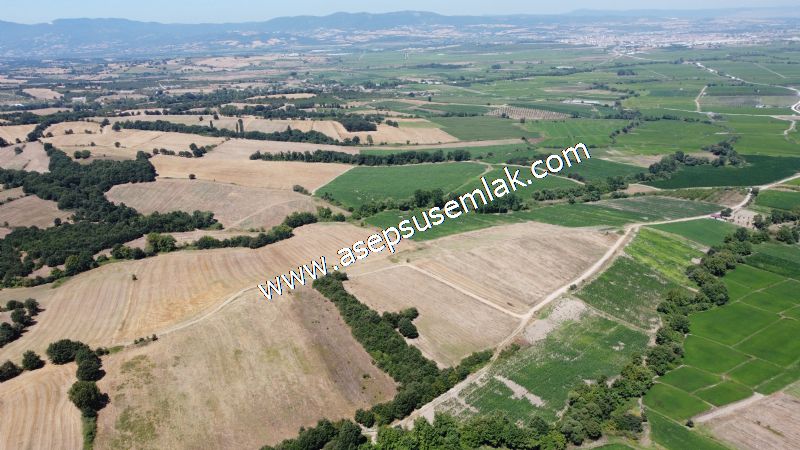 8.480 m2 Çiftlik Bağ-Bahçe K.Pompaj Su Var Kadastro Yola Cepheli