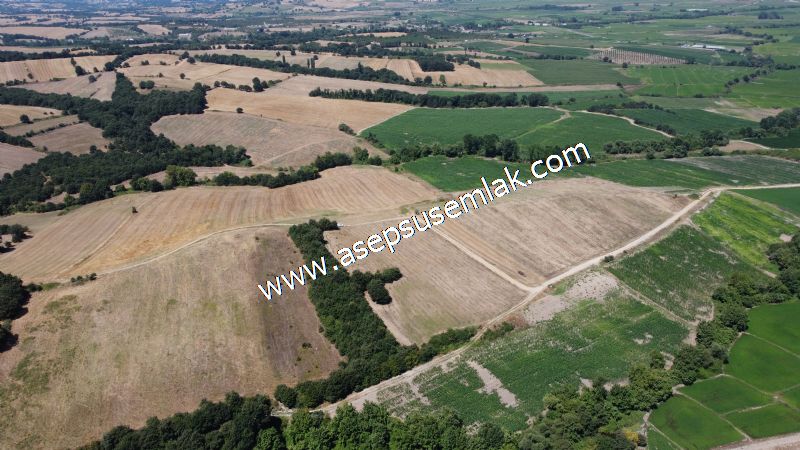 8.480 m2 Çiftlik Bağ-Bahçe K.Pompaj Su Var Kadastro Yola Cepheli
