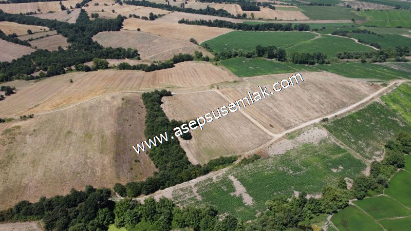 8.480 m2 Çiftlik Bağ-Bahçe K.Pompaj Su Var Kadastro Yola Cepheli