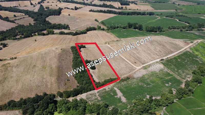 8.480 m2 Çiftlik Bağ-Bahçe K.Pompaj Su Var Kadastro Yola Cepheli