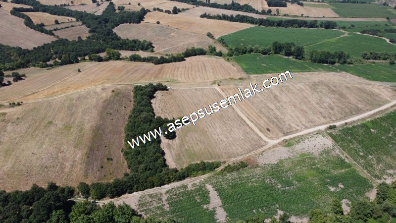 8.480 m2 Çiftlik Bağ-Bahçe K.Pompaj Su Var Kadastro Yola Cepheli