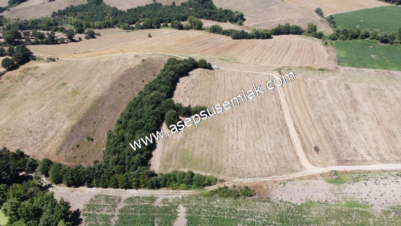 8.480 m2 Çiftlik Bağ-Bahçe K.Pompaj Su Var Kadastro Yola Cepheli