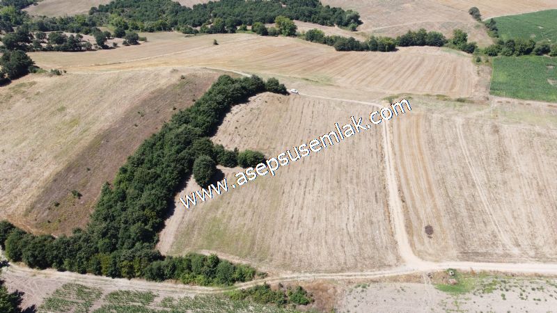 8.480 m2 Çiftlik Bağ-Bahçe K.Pompaj Su Var Kadastro Yola Cepheli