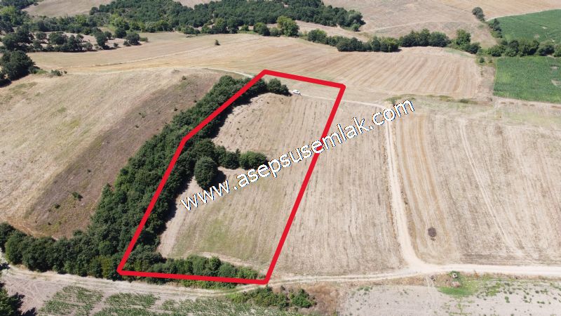 8.480 m2 Çiftlik Bağ-Bahçe K.Pompaj Su Var Kadastro Yola Cepheli