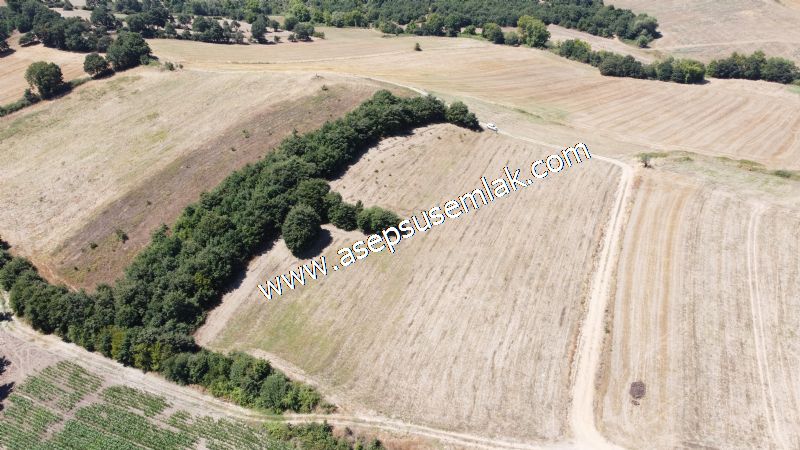 8.480 m2 Çiftlik Bağ-Bahçe K.Pompaj Su Var Kadastro Yola Cepheli