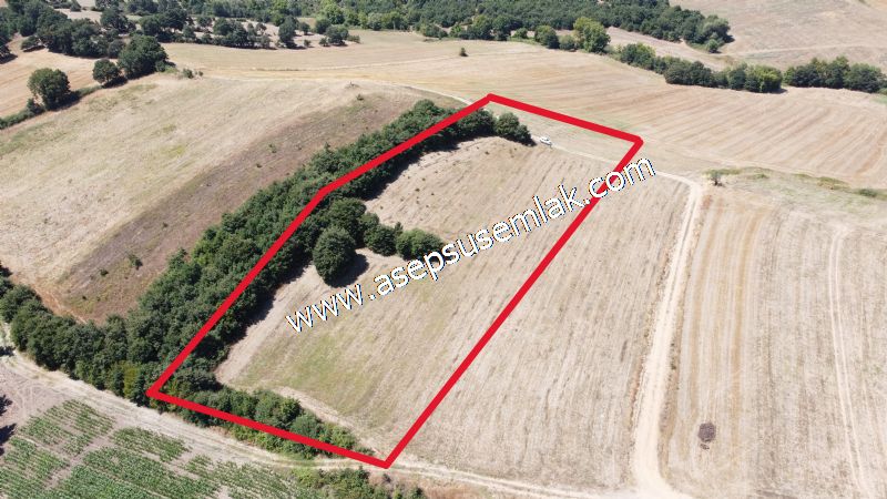8.480 m2 Çiftlik Bağ-Bahçe K.Pompaj Su Var Kadastro Yola Cepheli