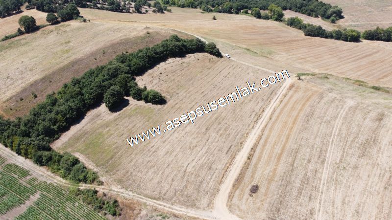 8.480 m2 Çiftlik Bağ-Bahçe K.Pompaj Su Var Kadastro Yola Cepheli