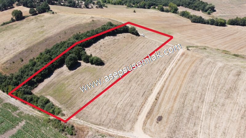 8.480 m2 Çiftlik Bağ-Bahçe K.Pompaj Su Var Kadastro Yola Cepheli