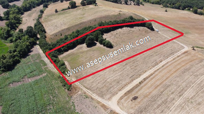 8.480 m2 Çiftlik Bağ-Bahçe K.Pompaj Su Var Kadastro Yola Cepheli