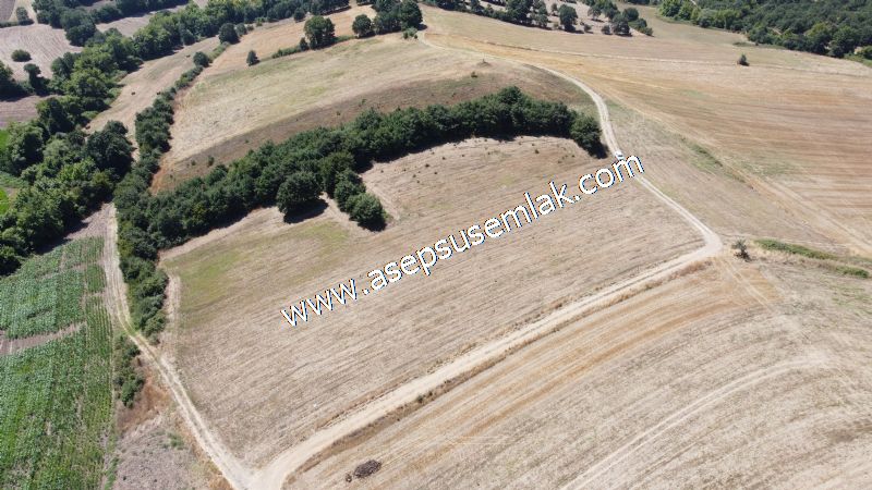 8.480 m2 Çiftlik Bağ-Bahçe K.Pompaj Su Var Kadastro Yola Cepheli