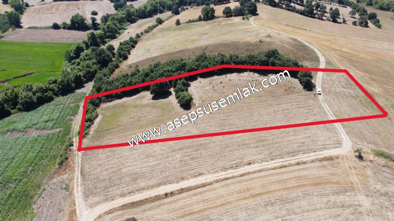 8.480 m2 Çiftlik Bağ-Bahçe K.Pompaj Su Var Kadastro Yola Cepheli
