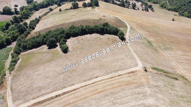 8.480 m2 Çiftlik Bağ-Bahçe K.Pompaj Su Var Kadastro Yola Cepheli